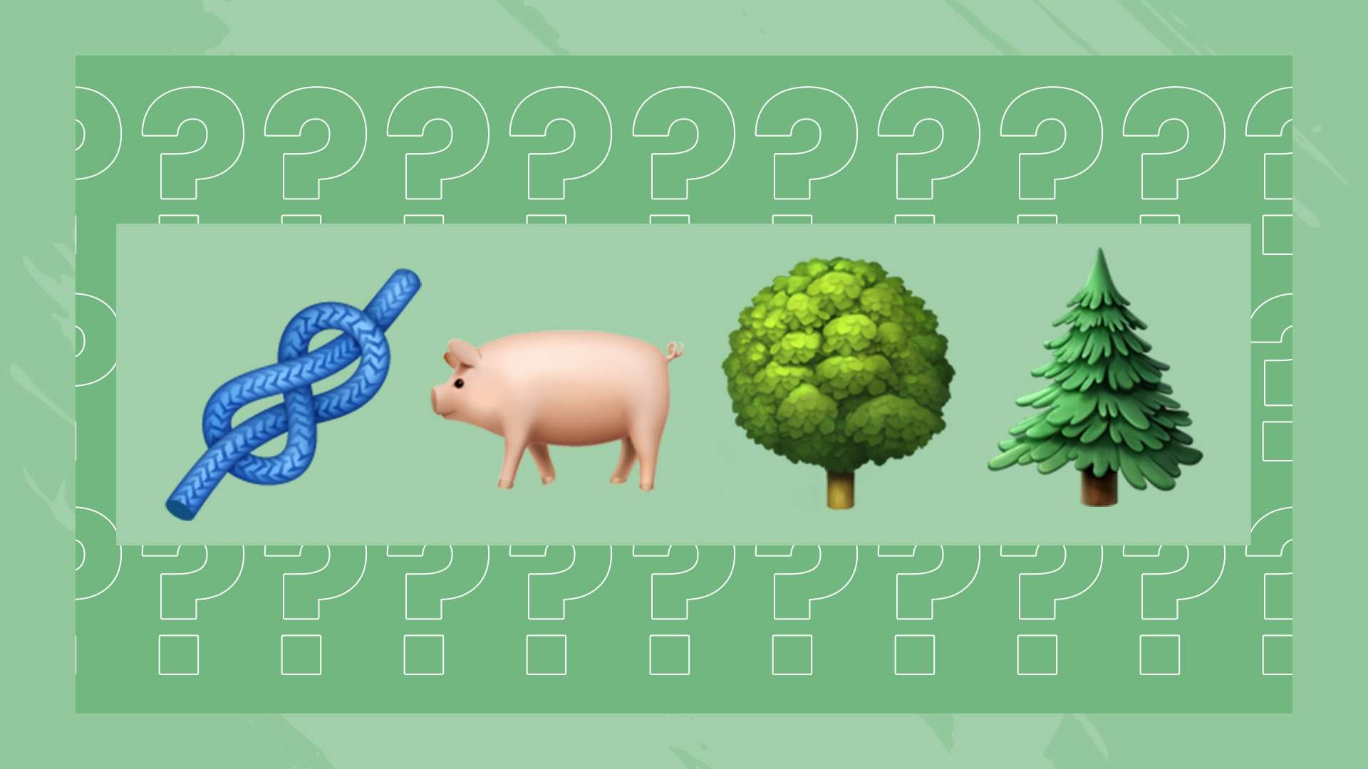 这场比赛中 这场比赛中